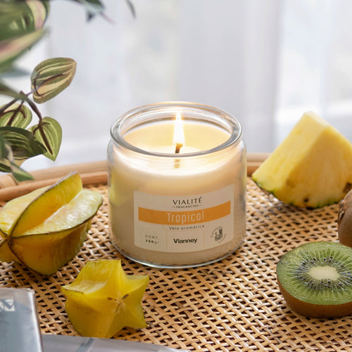 Vianney Home Velas Tropical 250 GR