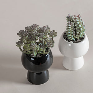 Set De Macetas Praga