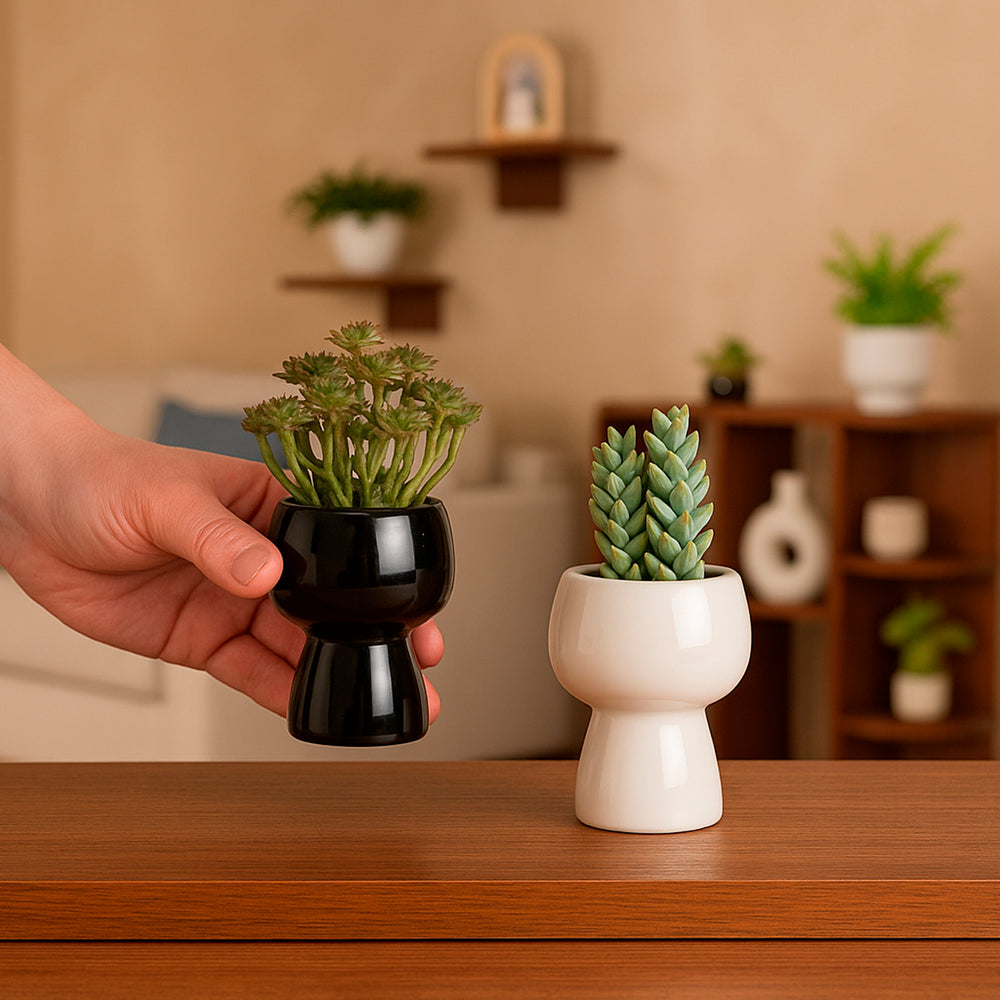 Set De Macetas Praga