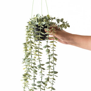 Maceta Colgante Ovata UNITALLA