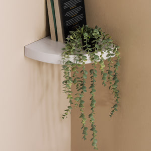 Maceta Colgante Ovata UNITALLA